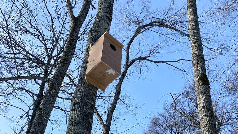 北海道:フクロウ巣箱設置